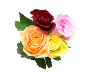 薔薇