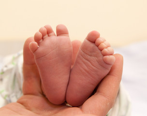 Infant heels in  mother's hand