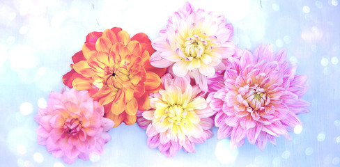 Grußkarte - Dahlien - Herbstblumen