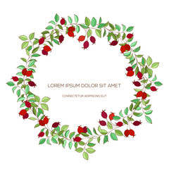 Colorful hand drawn wreath of hawthorn