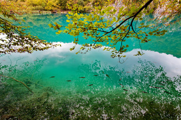 Plitvice Lakes National Park, Dalmatia, Croatia