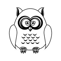 owl bird  cartoon animal nature cute wisdom vector illustration