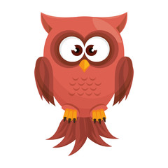 owl bird  cartoon animal nature cute wisdom vector illustration