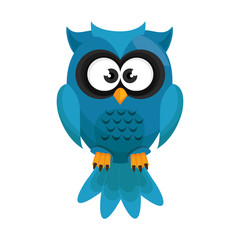 owl bird  cartoon animal nature cute wisdom vector illustration