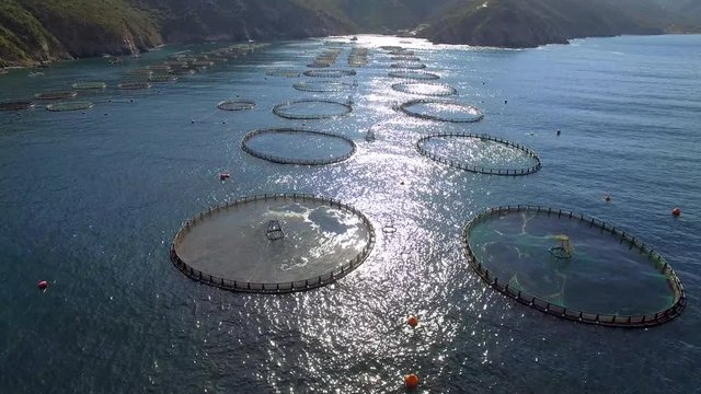 Aerial view of sea eco fish farm / Drone flying over fish farm and make a video in 4k