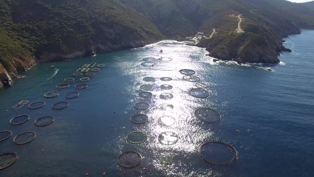 Aerial view of sea eco fish farm / Drone flying over fish farm and make a video in 4k