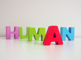HUMAN in Holzbuchstaben
