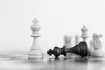 Scacchi fotografati su una scacchiera