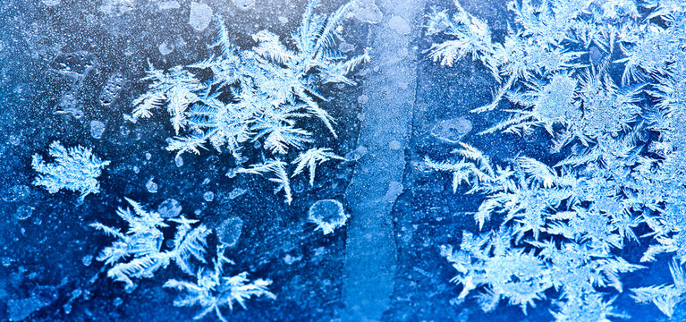 Frozen ice flowers