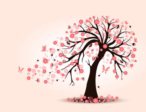 Decorative beautiful cherry blossom with background