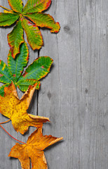Naklejka na ściany i meble Autumn leaves on wooden backgrund