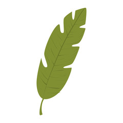 ecology green leaf plant natural sheet vector illustration