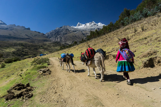 donkey driver on an expedition in the Cordillera Blanca in the Peruvian Andes