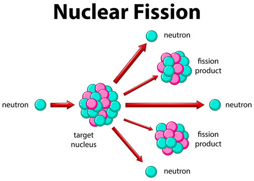Diagram showing nuclear fission