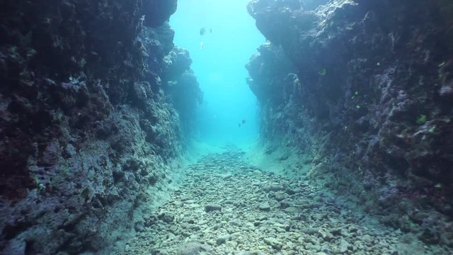 Moving in a natural trench underwater carved into the seafloor on the outer reef, south Pacific ocean, French Polynesia
