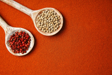 Dried spices in spoons on paprika powder background