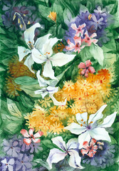 Watercolor painting. Floral background with white lilies.