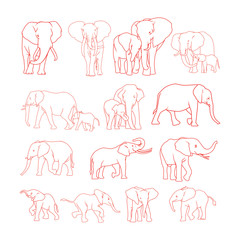 Obraz premium Elephant outline