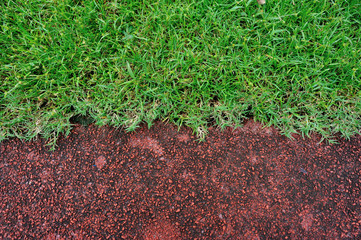 red running track and green grass in stadium