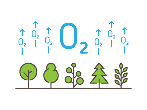 O2 (oxygen) linear vector illustration with house plants. Natural (ecology, ecological) oxygen creative graphic concept. Natural eco oxygen process for science, chemistry, biology.