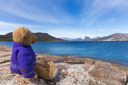 teddy bears sitting at the top of a large stone with deep blue s