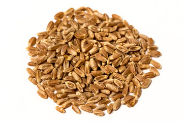 Wheat berry kernel isolated on white
