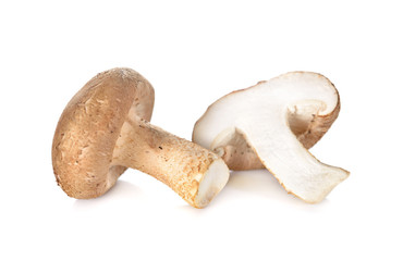 fresh Shiitake mushrooms on white background