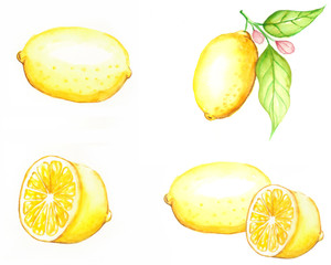 Lemon, Watercolor painting isolated on white background