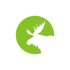 голова лося