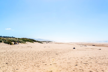 people walking at the edge of the sea on manzanita beach on the west american coast during a sunny day with hill at the background and grass and prints in the sand