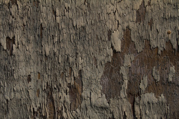 chipped paint over wood plank