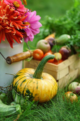 autumn arrangement