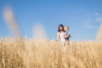 Naklejka na ściany i meble Portrait of young mother and her one year old baby boy in a wheat gold field with blue sky. Happe family beautiful concept