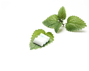 Chewing Gum with Fresh Mint Leaves Isolated on White Background
