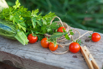 vegetables and greens in a garden