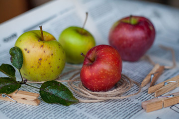 ripe apples in a garden