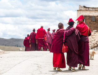 group of young tibetan monk students