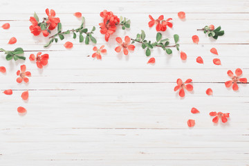 red flowers on white wooden background