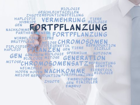 Fortpflanzung