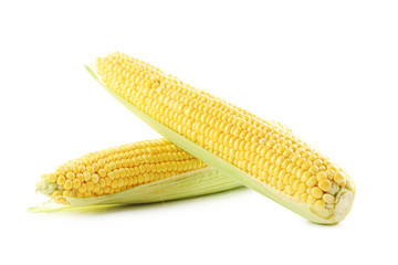 Sweet corns isolated on a white