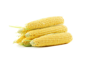 Sweet corns isolated on a white