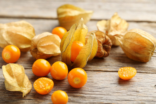 Physalis Fruit Images – Browse 29,727 Stock Photos, Vectors, and Video |  Adobe Stock