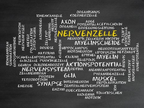 Nervenzelle