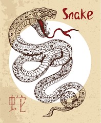 Naklejka premium Chinese zodiac symbol of etching snake with hieroglyph