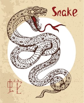 Chinese zodiac symbol of etching snake with hieroglyph