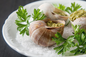 Large Escargots de Bourgogne - Snails baked  garlic butter, with