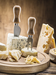 Variety of cheeses. Vintage stiles.