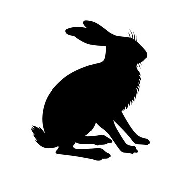 recommend clip art: Hare, shade picture