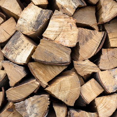 A stack of dried firewood