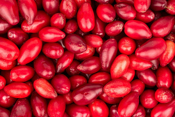 Background of cornelian cherries